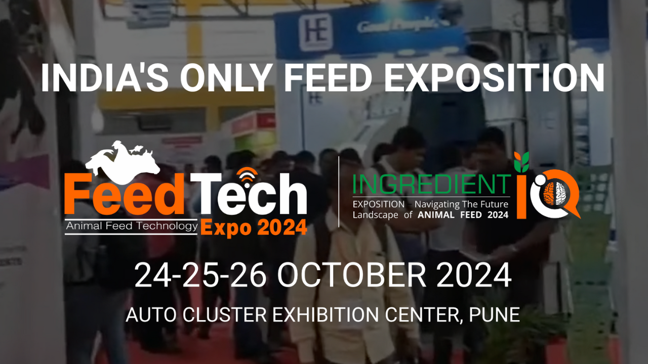 Feed Tech Expo 2024